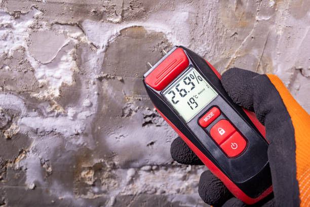 Best Residential Mold Removal  in Harpersville, AL