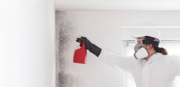 Best Emergency Mold Removal  in Harpersville, AL